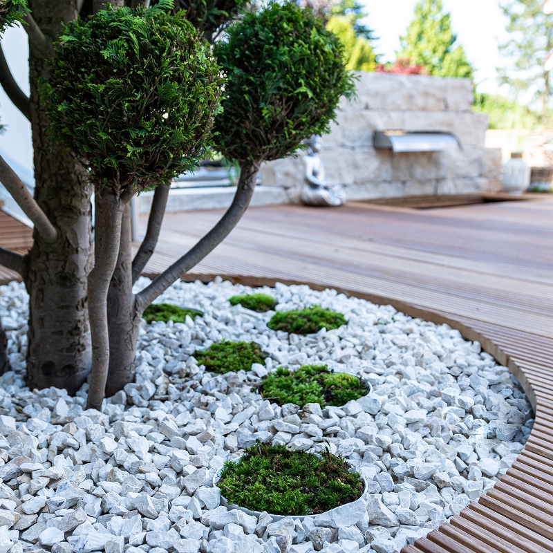 Aménagement zen : gravier blanc, mousse verte en îlots et topiaires boule sous un arbre, bordure boisée.